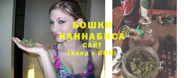 прущая мука Дмитриев