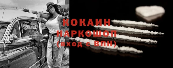 дмт Дмитров