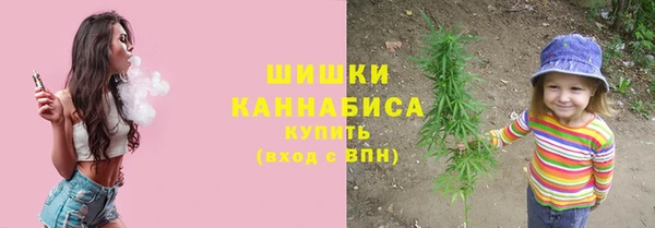 дмт Дмитров