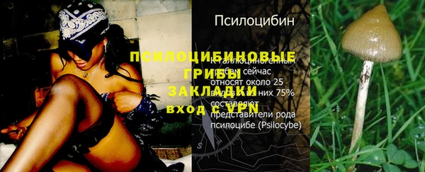 стафф Гусь-Хрустальный